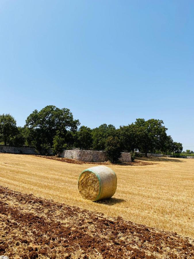 Trulli Della Masseria Staffone 阿尔贝罗贝洛 外观 照片