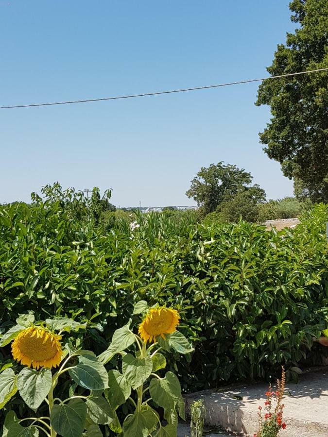 Trulli Della Masseria Staffone 阿尔贝罗贝洛 外观 照片